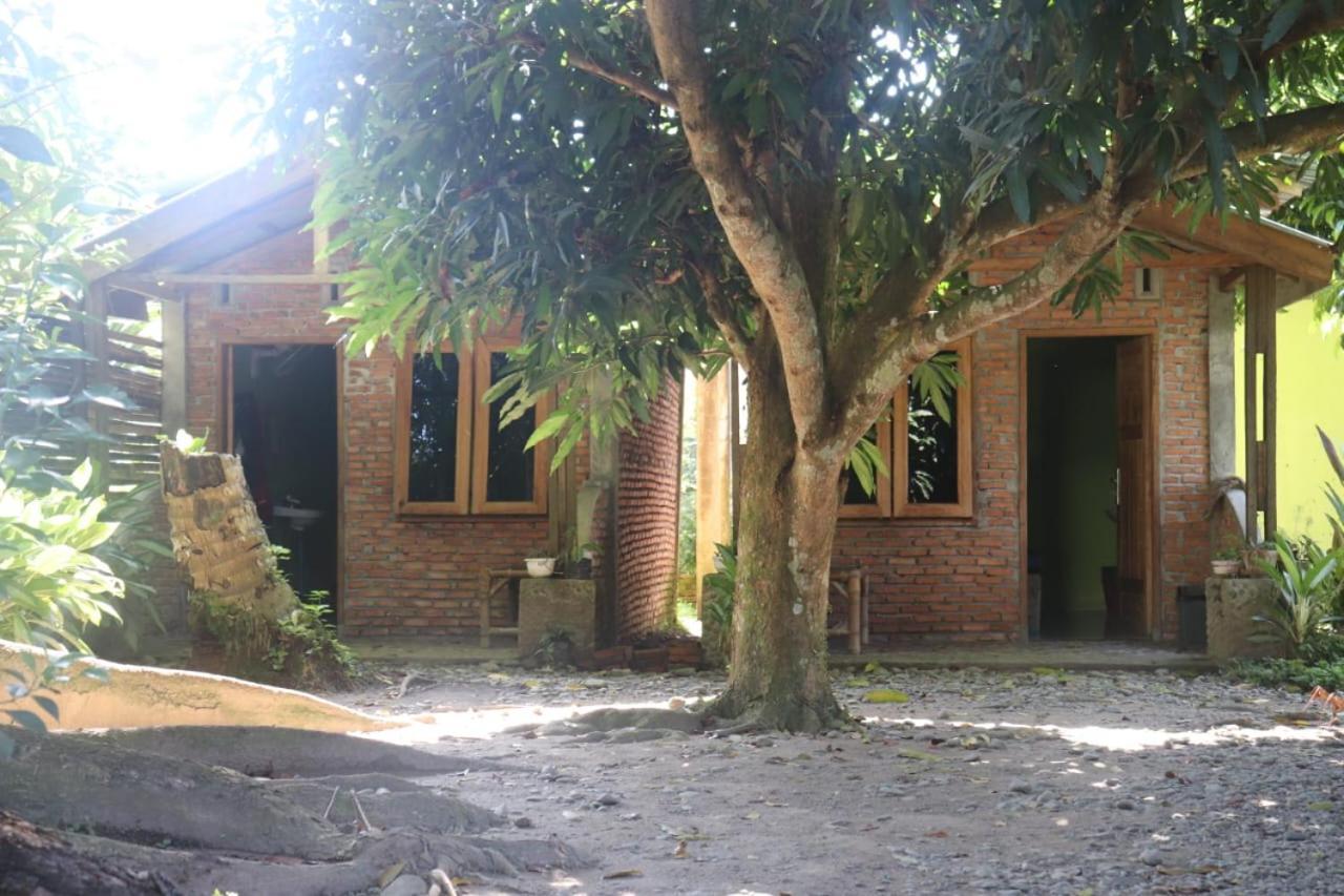 Jhony'S Backpacker-Guest House Only Stay Here Book Treking With Us Bukit Lawang Eksteriør billede