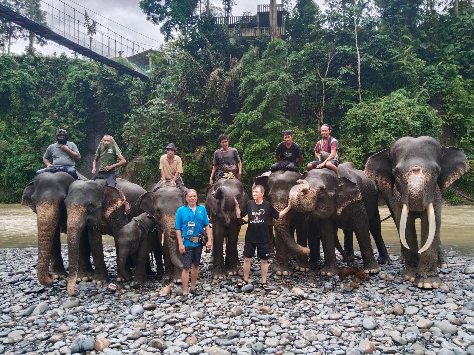 Jhony'S Backpacker-Guest House Only Stay Here Book Treking With Us Bukit Lawang Eksteriør billede