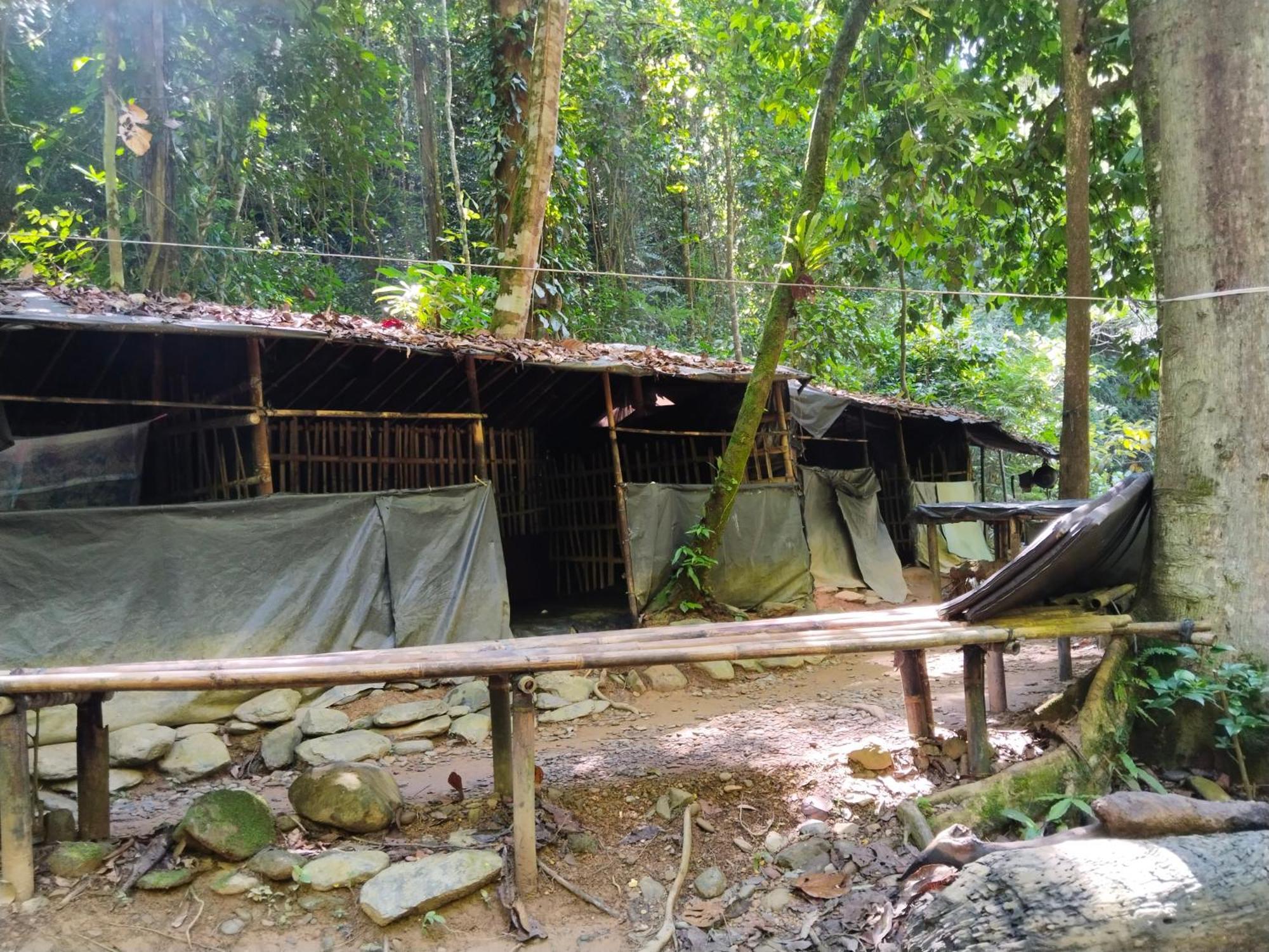 Jhony'S Backpacker-Guest House Only Stay Here Book Treking With Us Bukit Lawang Eksteriør billede