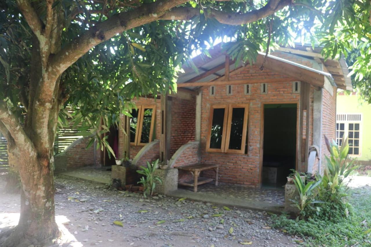 Jhony'S Backpacker-Guest House Only Stay Here Book Treking With Us Bukit Lawang Eksteriør billede
