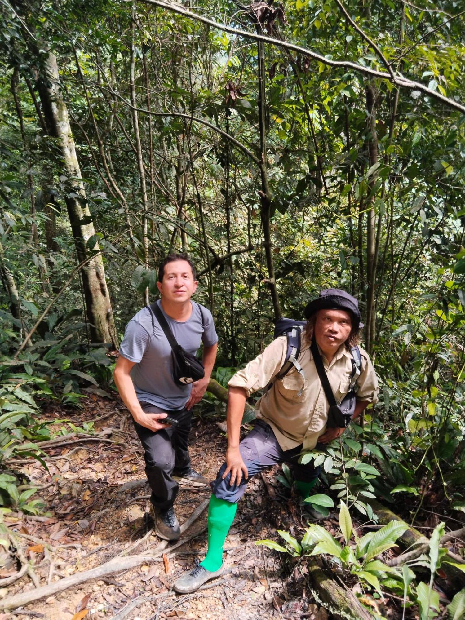 Jhony'S Backpacker-Guest House Only Stay Here Book Treking With Us Bukit Lawang Eksteriør billede